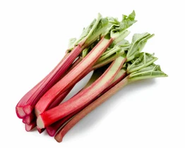 Rhubarb