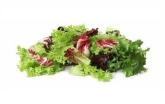 lettuce